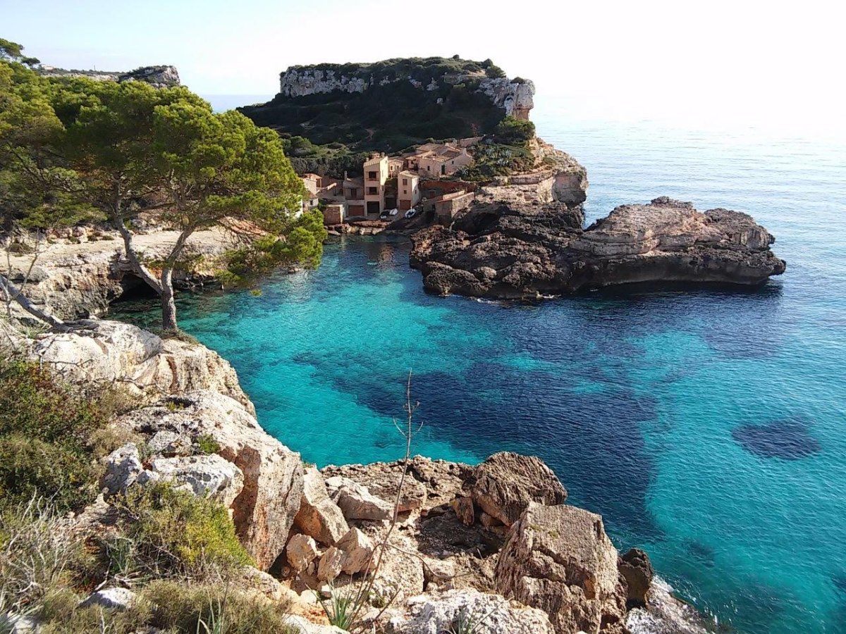 Cala баш