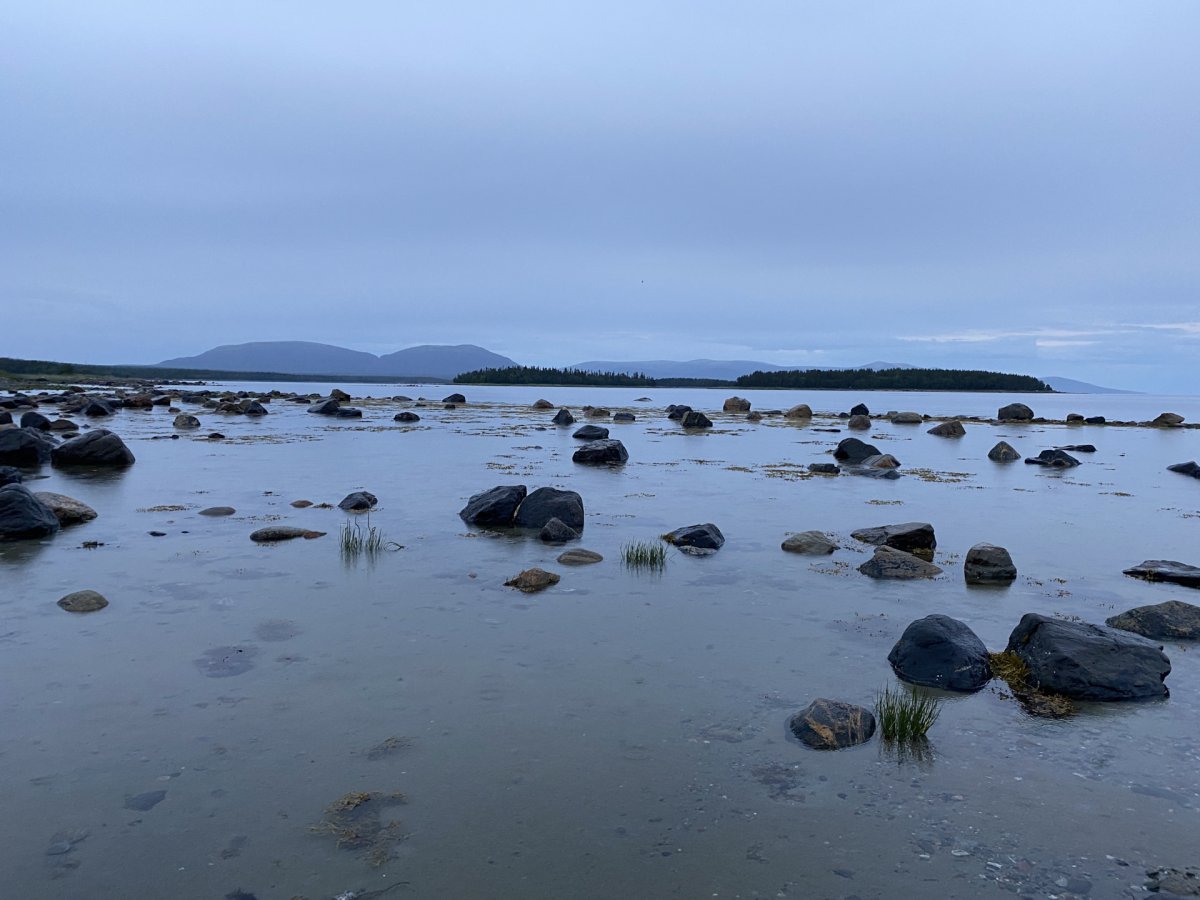 Белое море Мурманская область