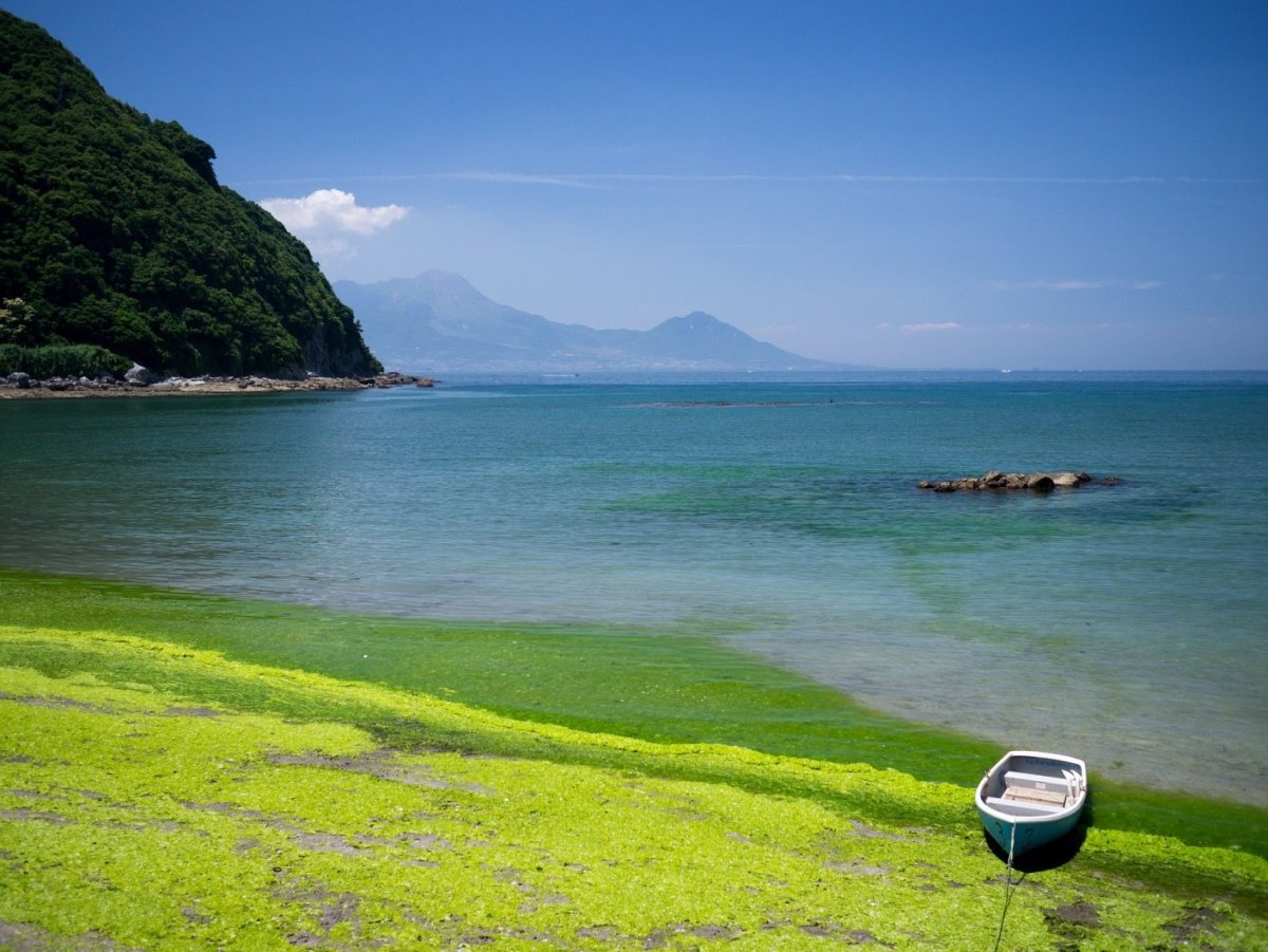 Кумамото Япония море