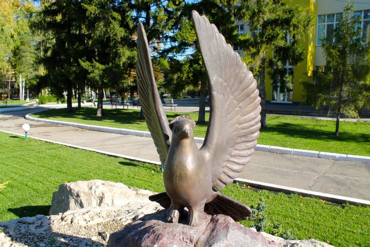 Памятник голубям в Самаре