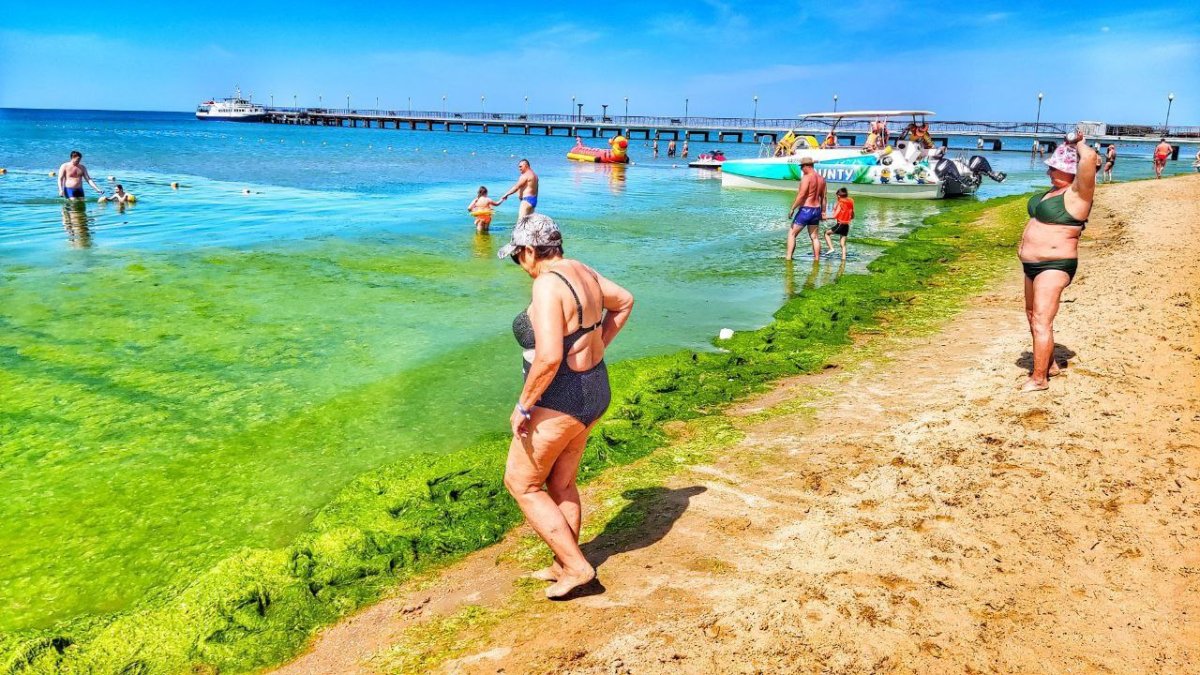 Черное море цветет Анапа