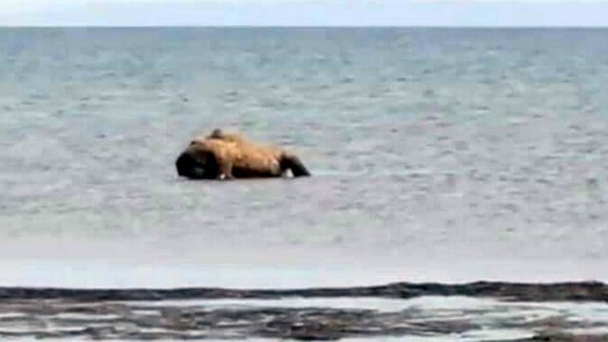 Утонули в Каспийском море