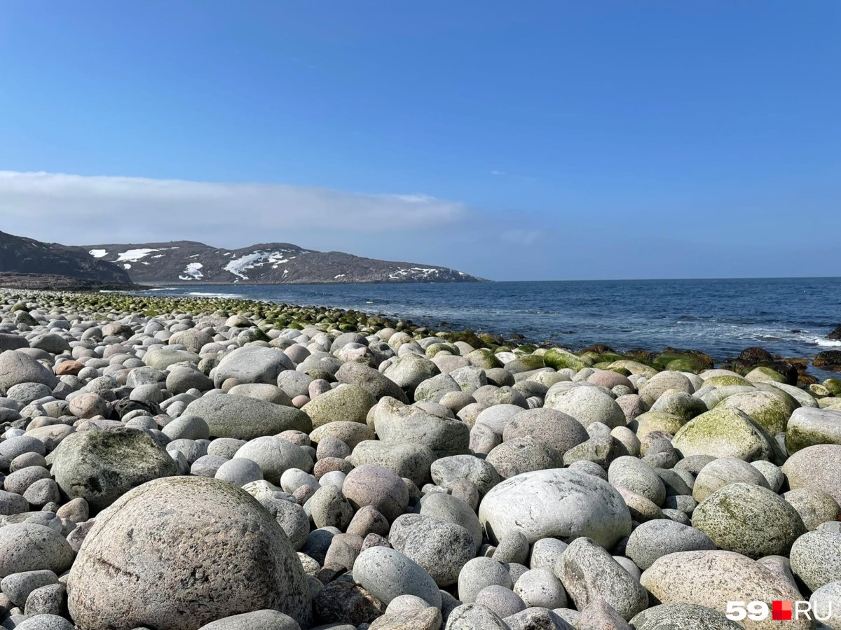 Незамерзающее Баренцево море Мурманск