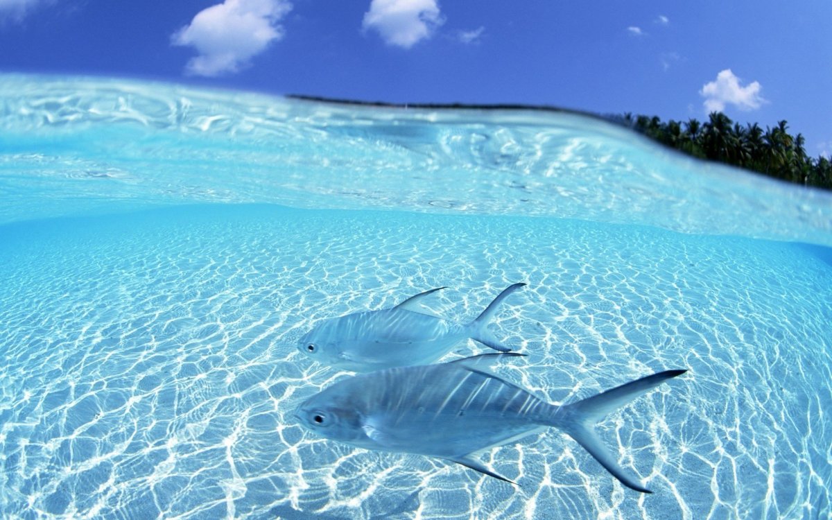 Прозрачное море