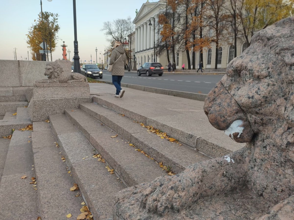 Львы на набережной Макарова в Санкт-Петербурге