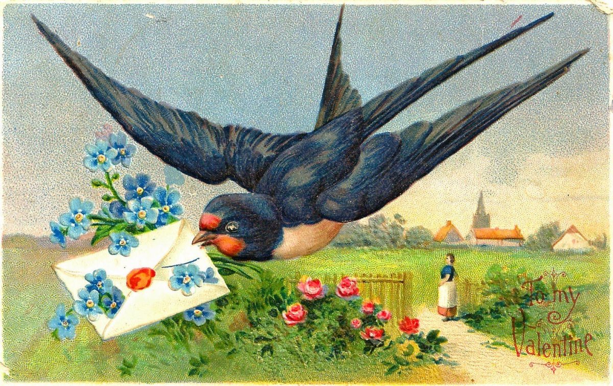 Ласточка картина