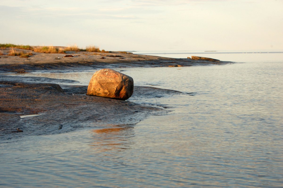 Белое море, острова Студенцы,
