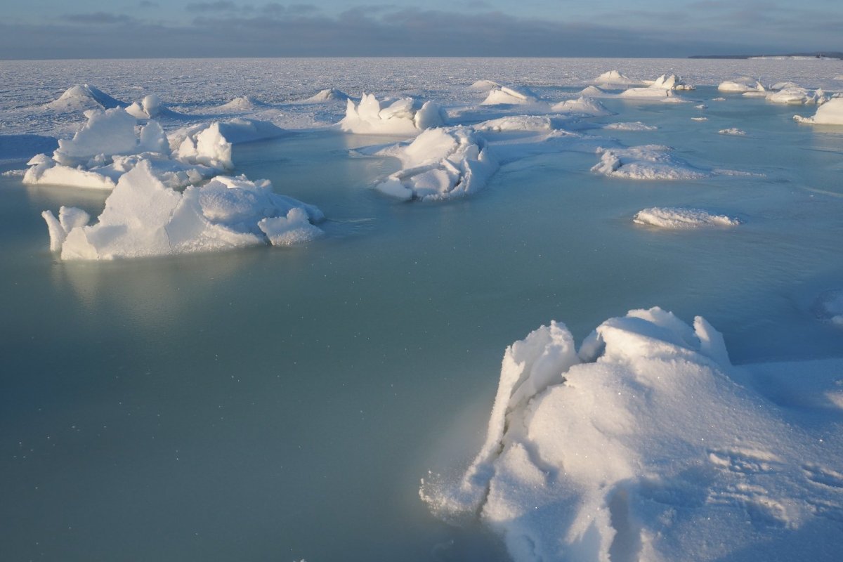 Северодвинск белое море зима льду