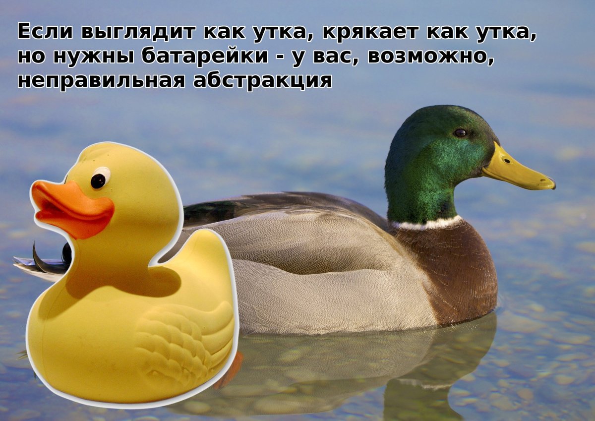Уточка крякает