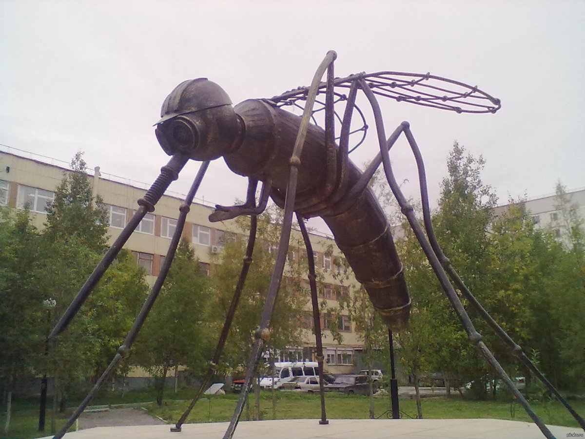 Памятник комаров Усинск