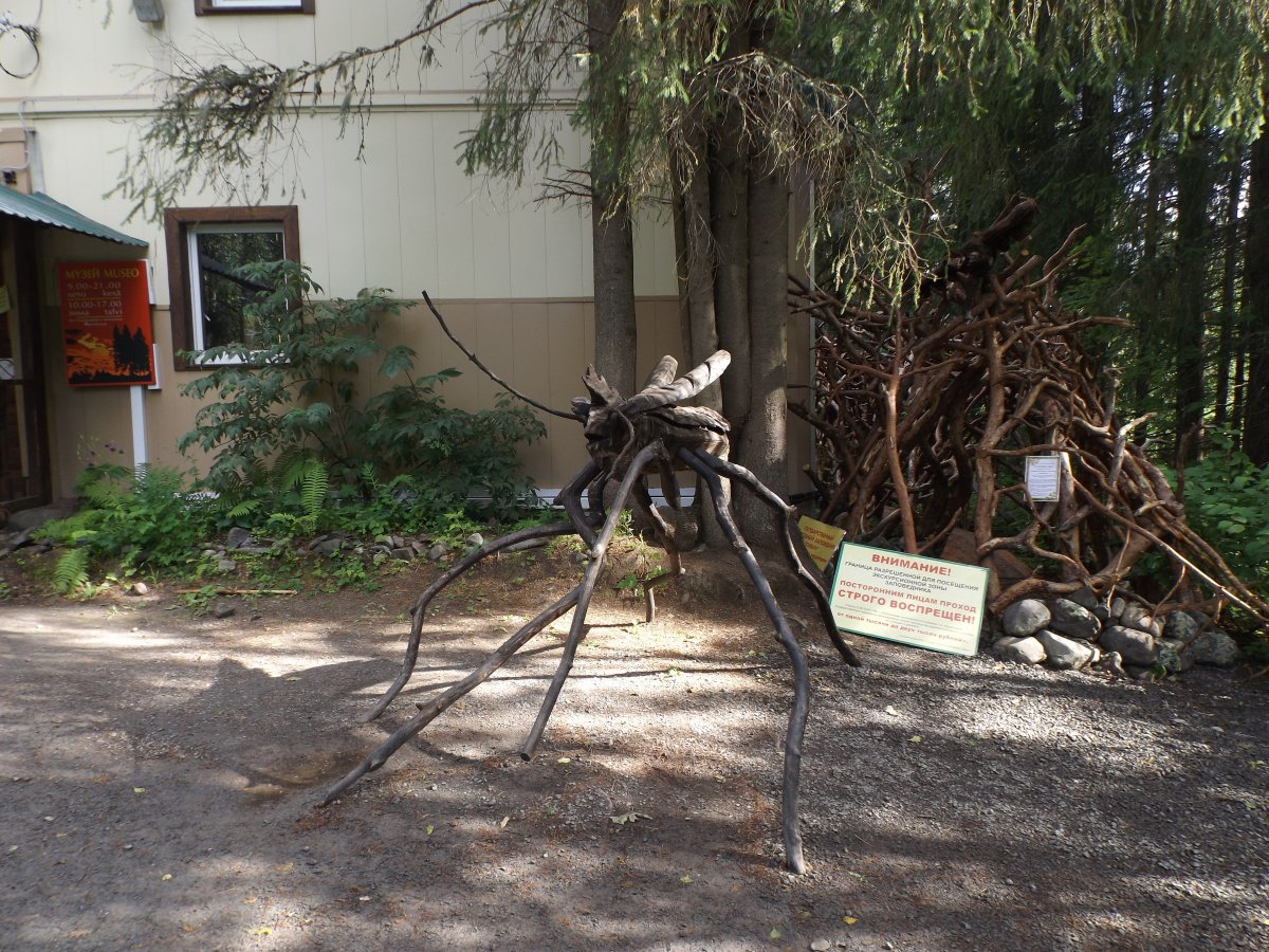 Карелия памятник комару Кивач
