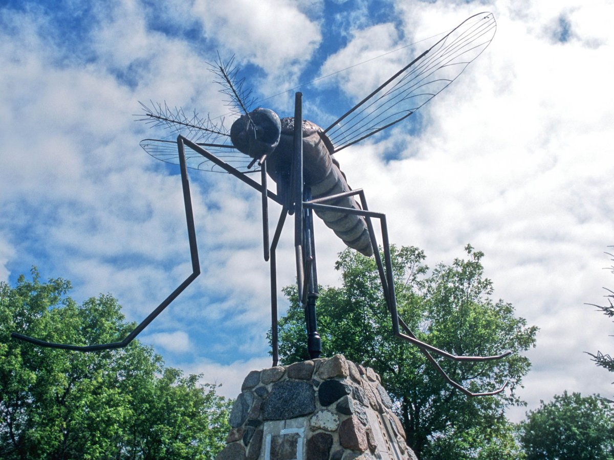 Памятник комару Новосибирск