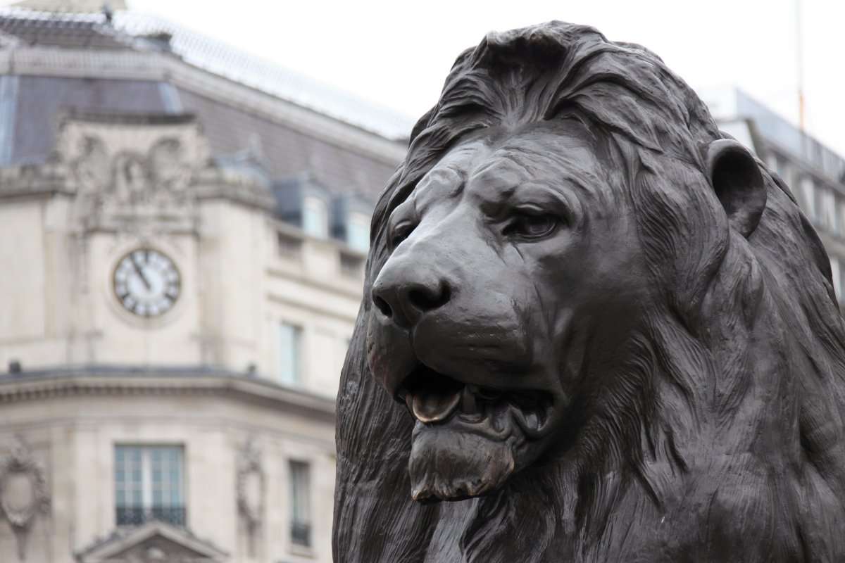 Lions on Trafalgar Square