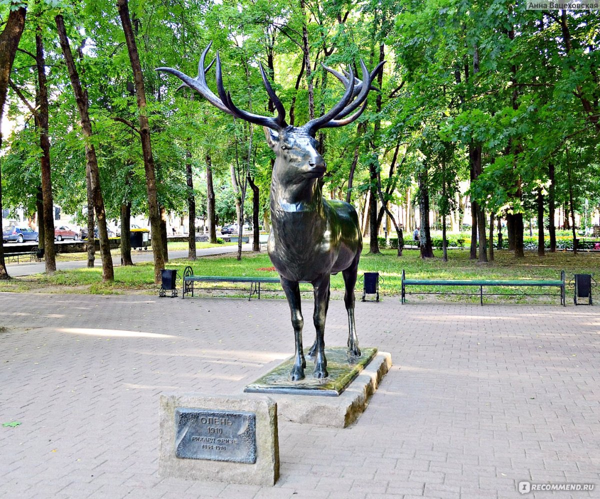 Смоленск олень в парке Блонье