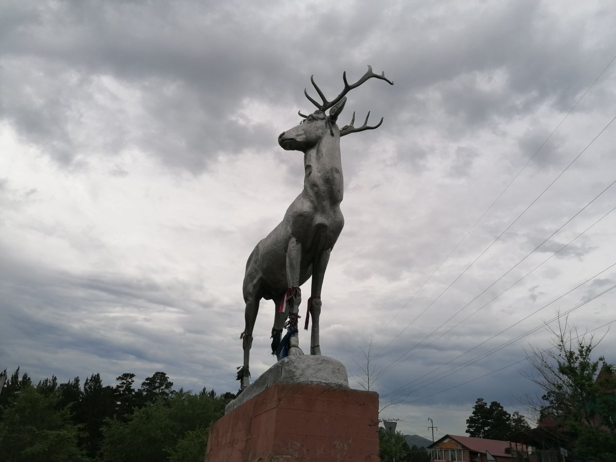 Памятник Марал Чита