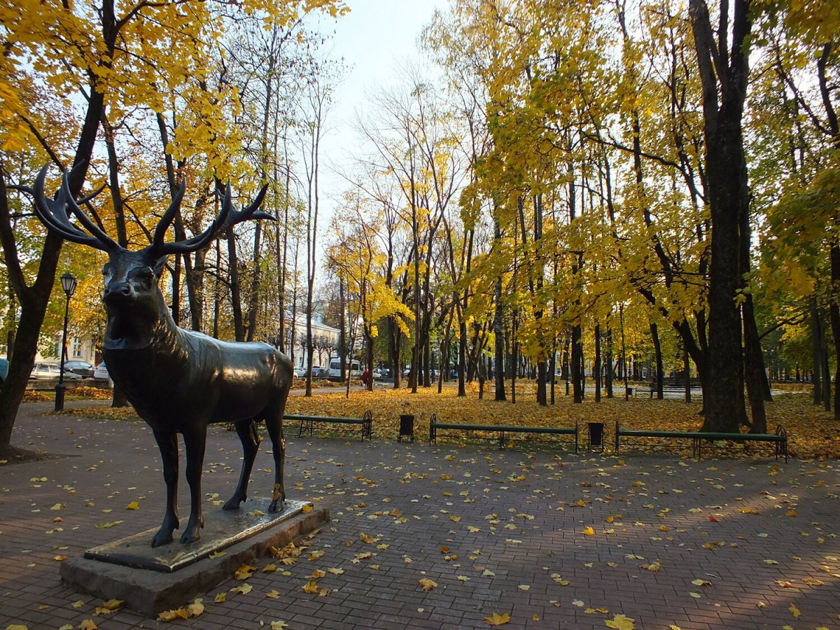 Смоленск парк Блонье