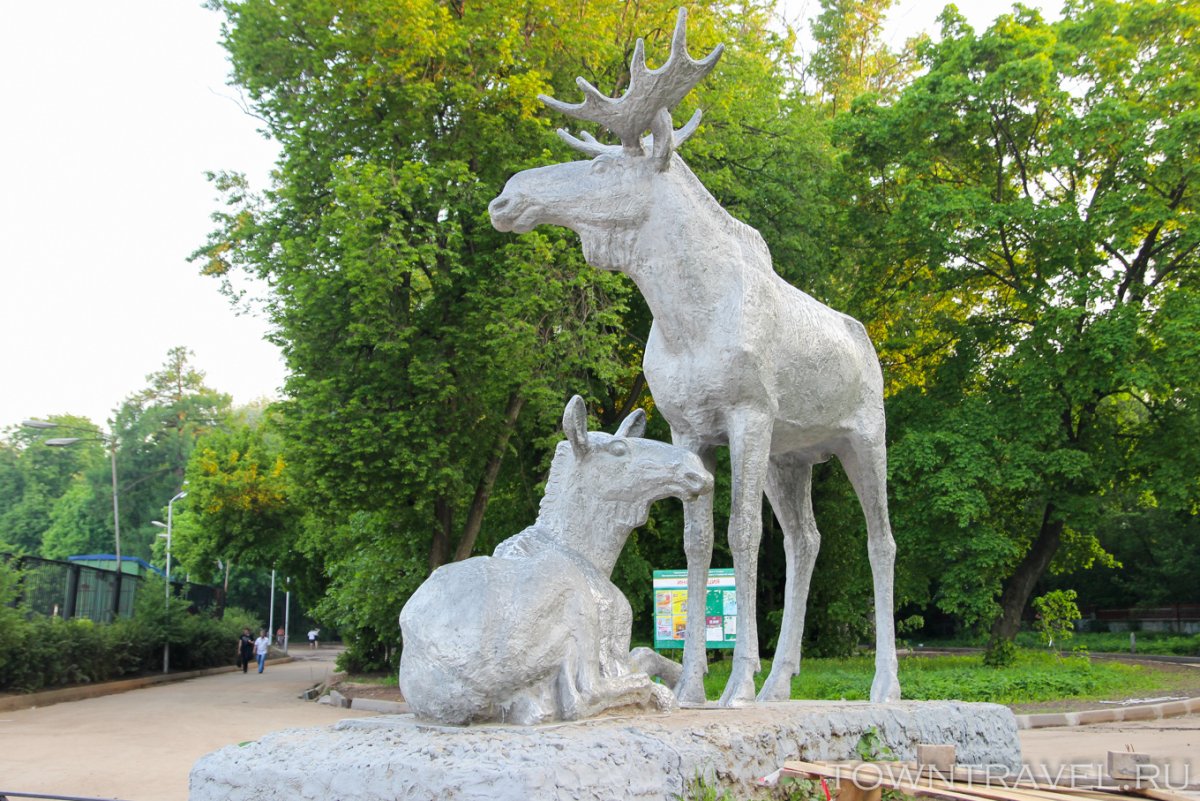Парк ЦПКИО Рязань