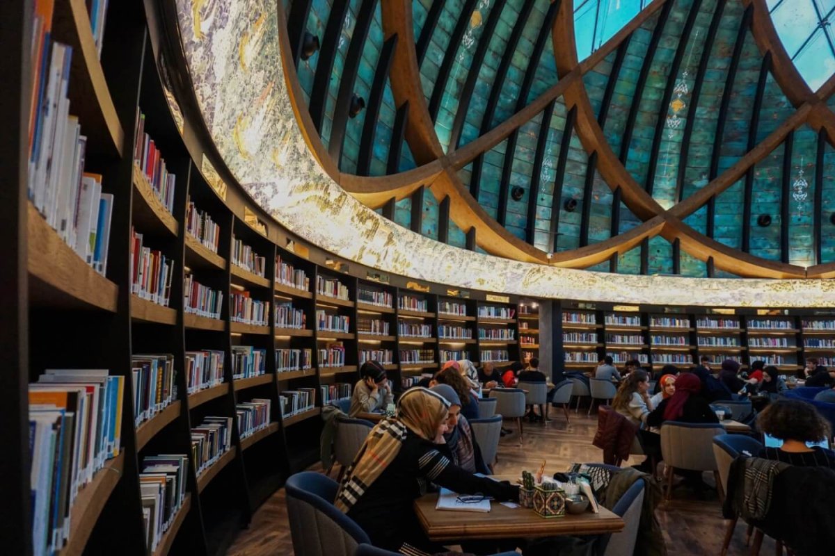 Istanbul University библиотека