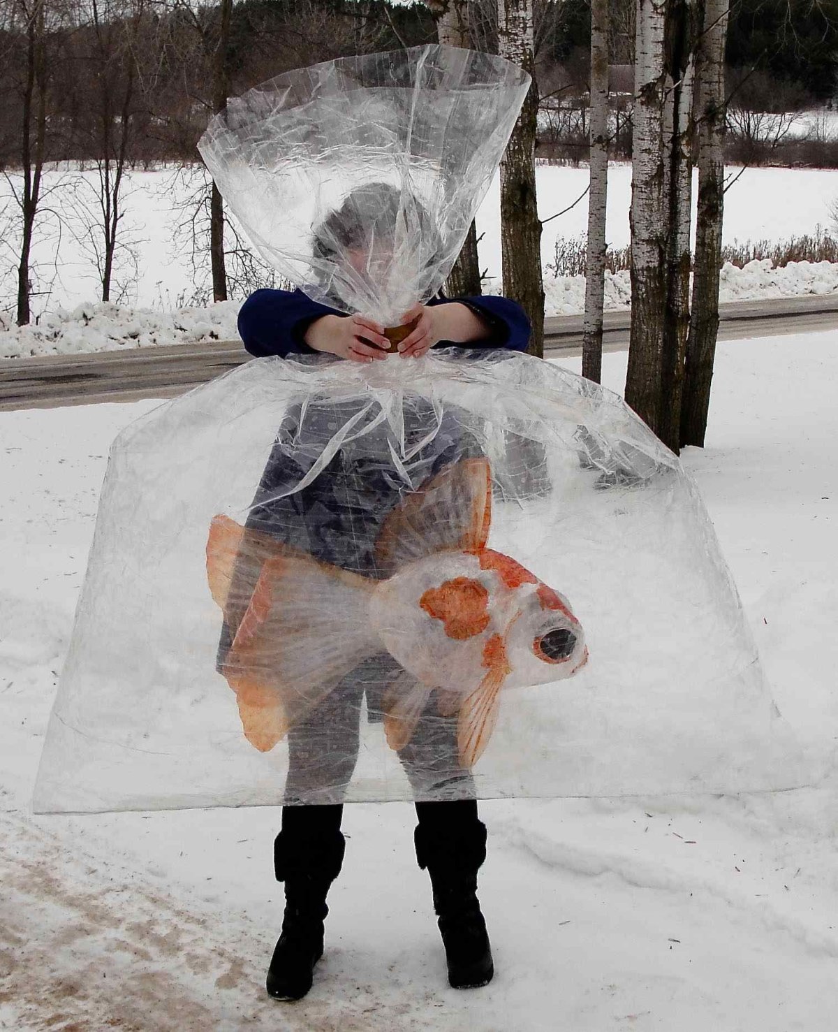 Скульптура из пленки