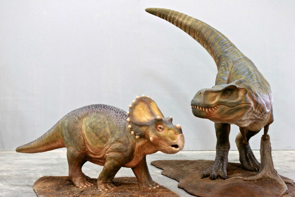 Tyrannosaurus Blue Rhino Studio
