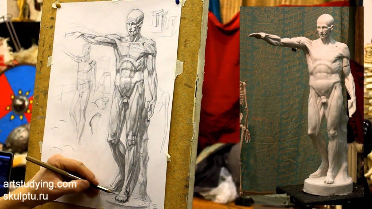 Рисунок фигуры Экорше Олег Торопыгин
