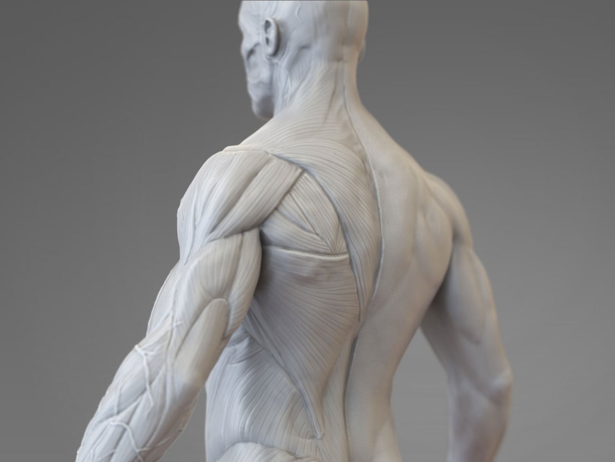 Паскаль Аккерман Zbrush