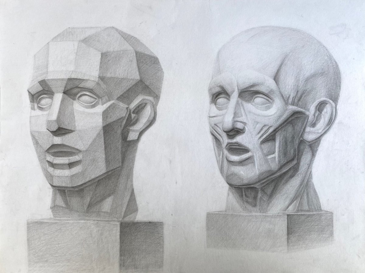 Экорше рисунок контур