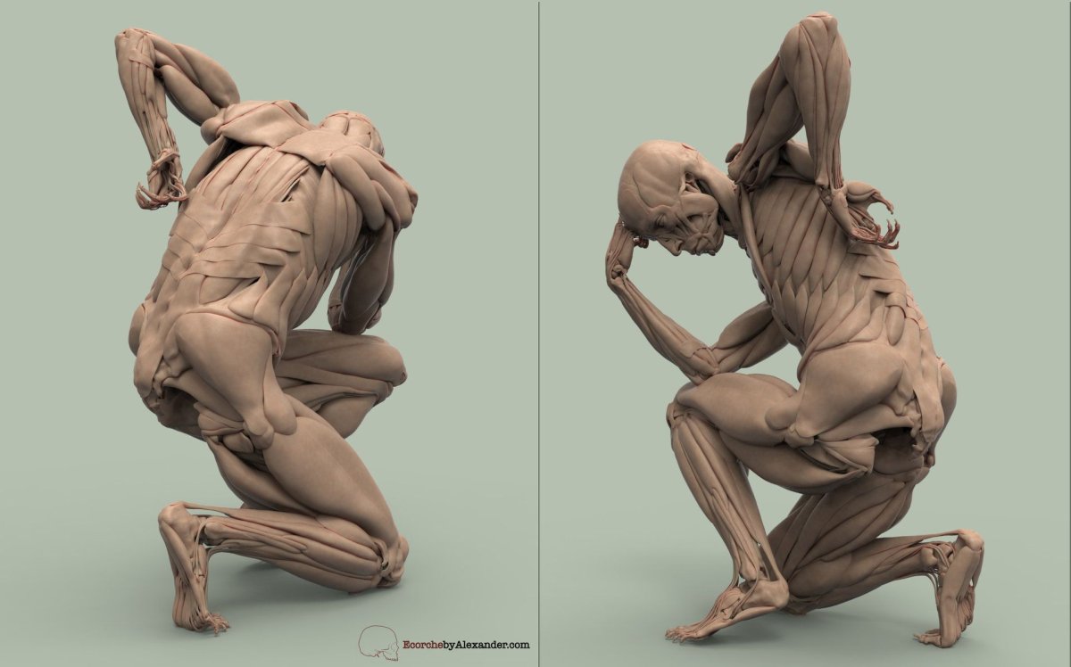 Экорше для Zbrush