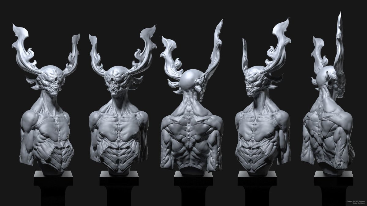 Анатомия 3d Zbrush