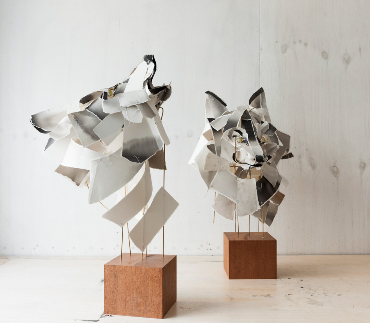 Anna-Wili Highfield
