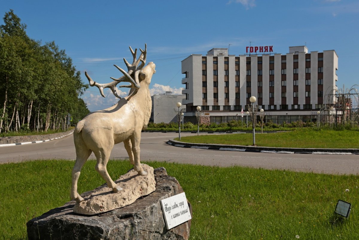 Оленегорск Мурманская область олень