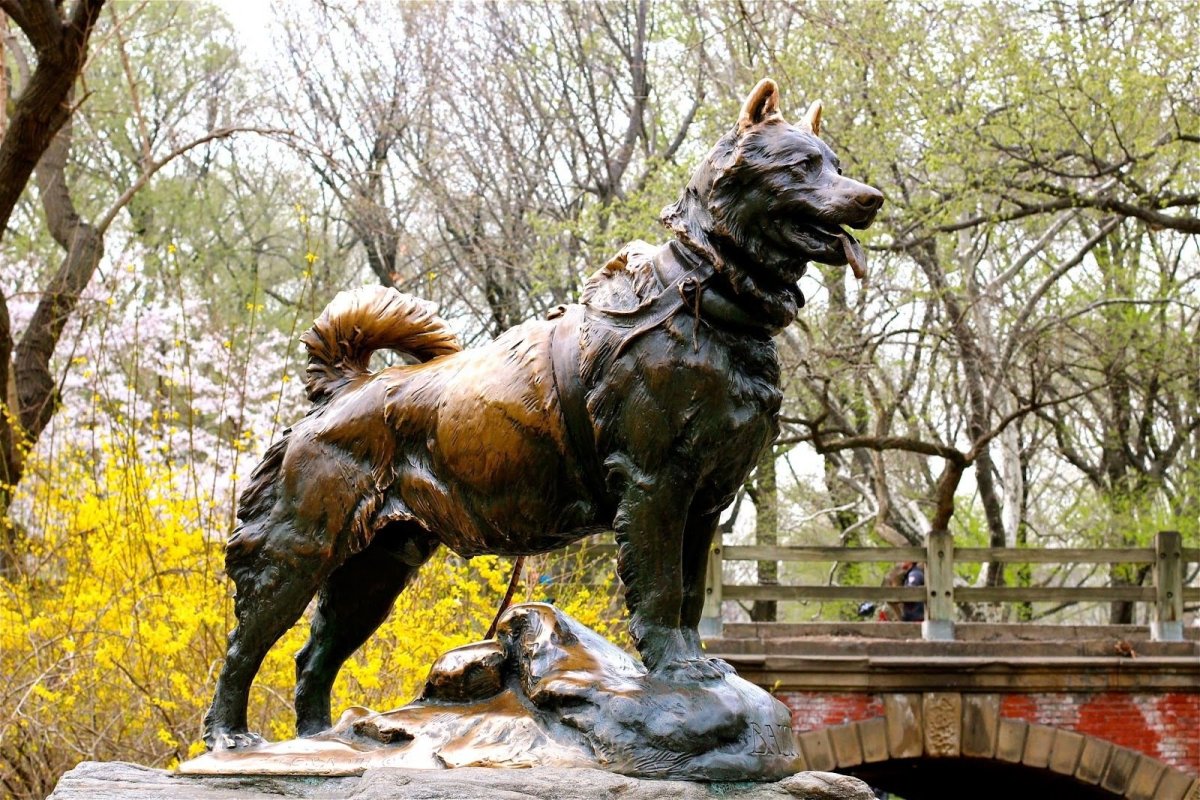 Памятник собаке Балто