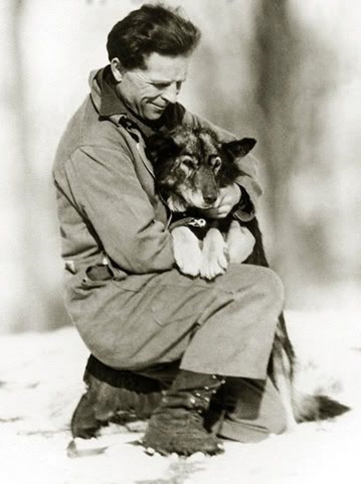 Леонард Сеппала
