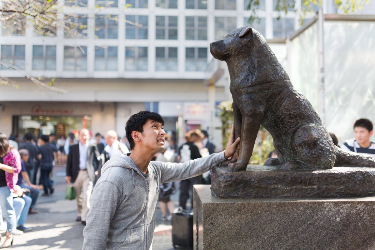 Hachiko Shibuya Crossing