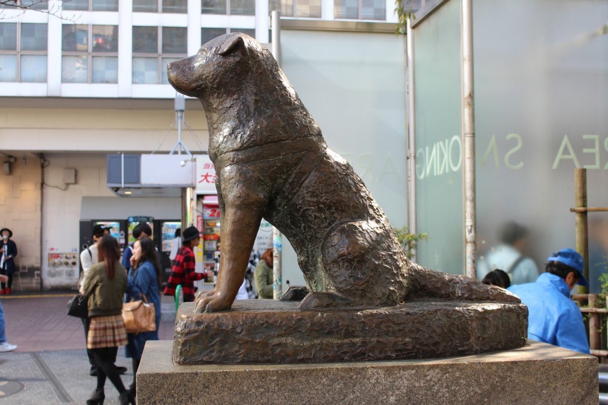 Shibuya Station Hachiko