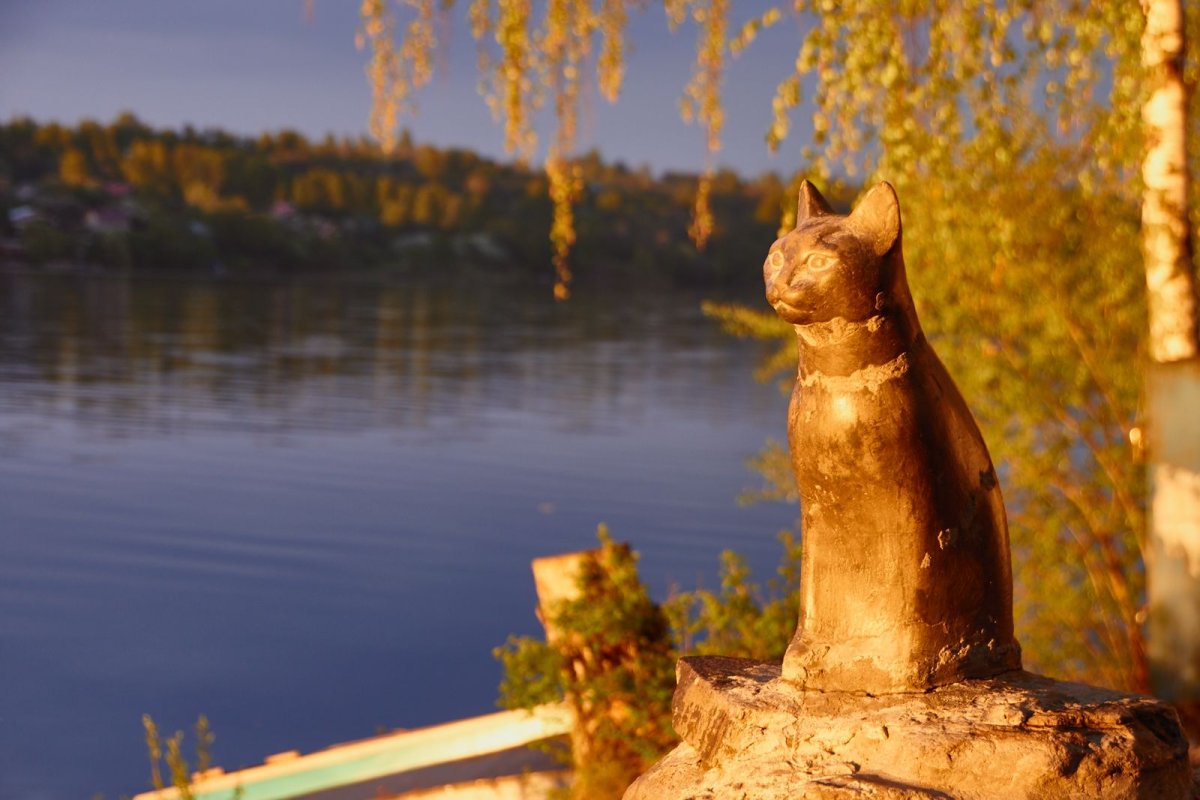 Памятник кошке мухе в Плесе