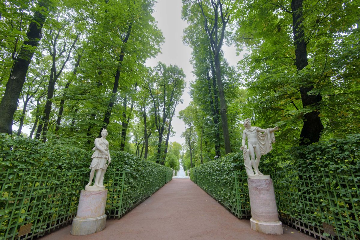 Центральная аллея летнего сада в Санкт-Петербурге
