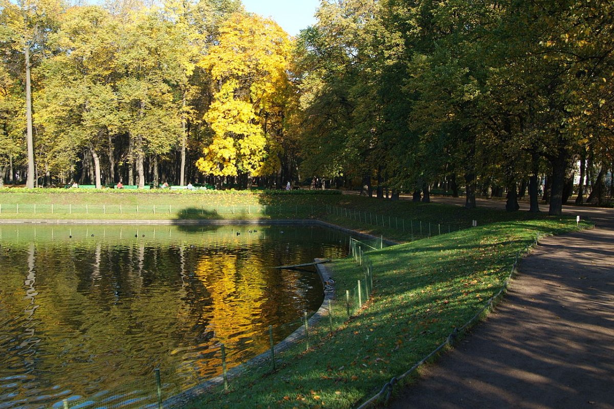 Летний сад в Санкт-Петербурге Карпиев пруд
