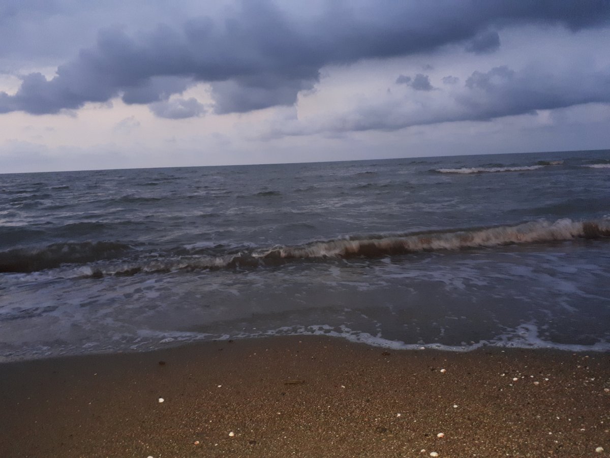 Брянск Каспийское море