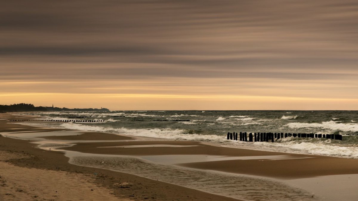 Коричневое море