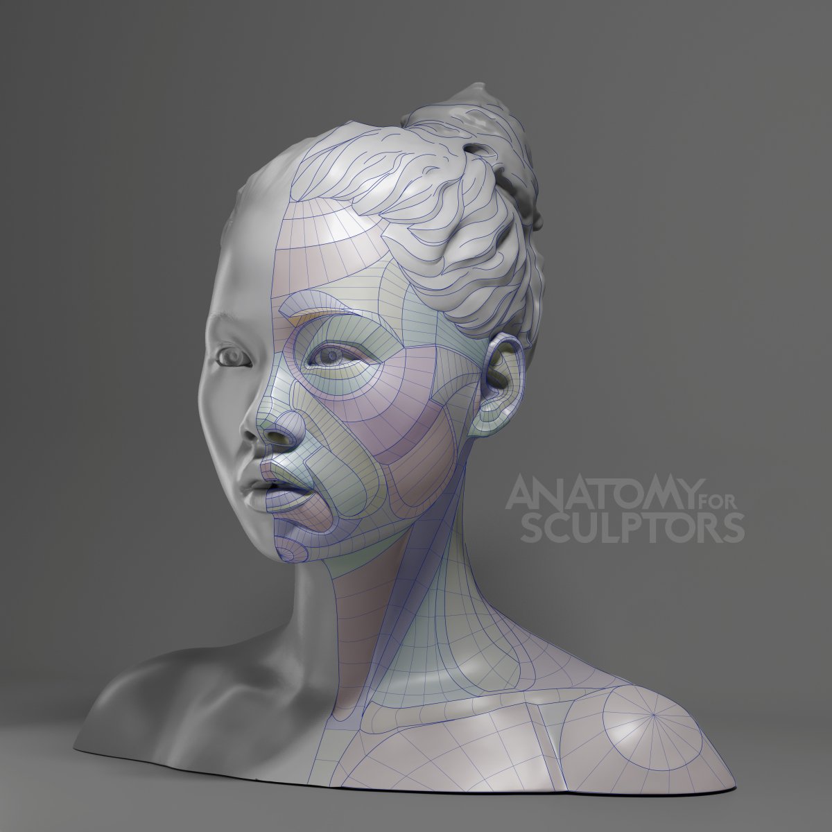Анатомия for sculptors