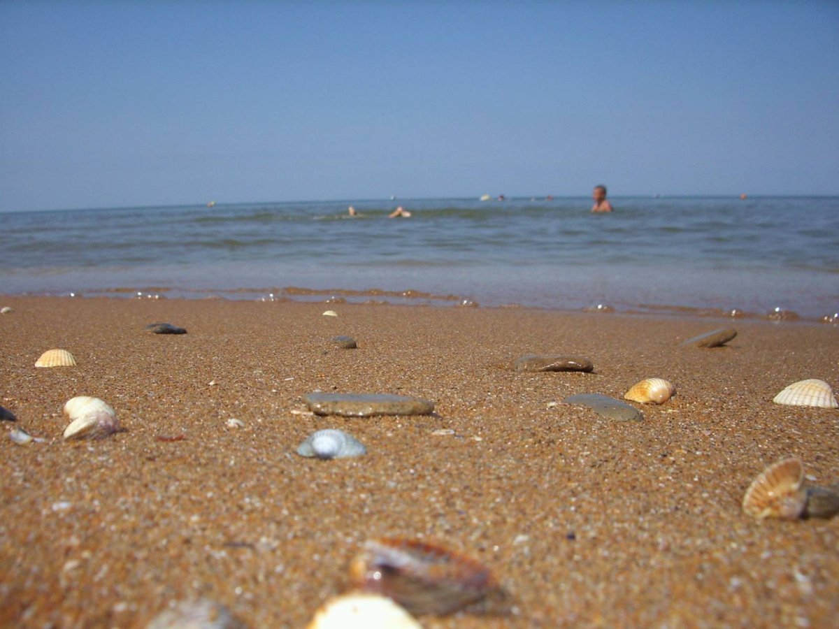 Кучугуры Краснодарский край черное море