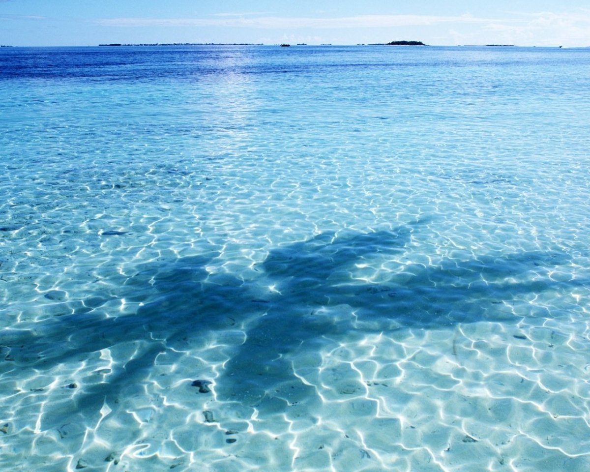 Прозрачное море