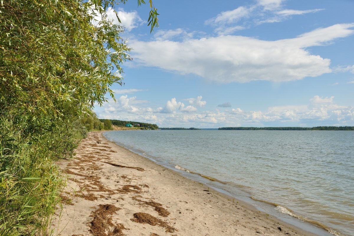 Обское водохранилище Бердск