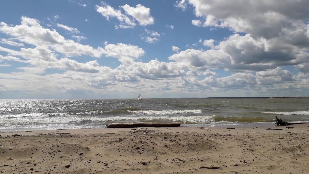 Обское море звезда