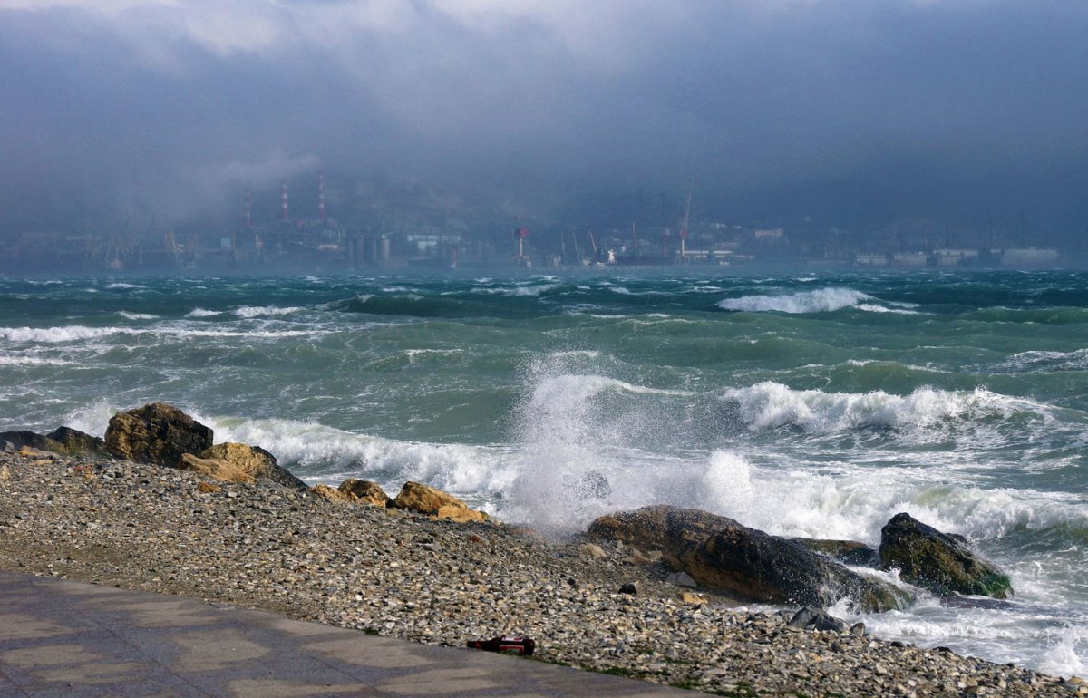 Черное море Новороссийск