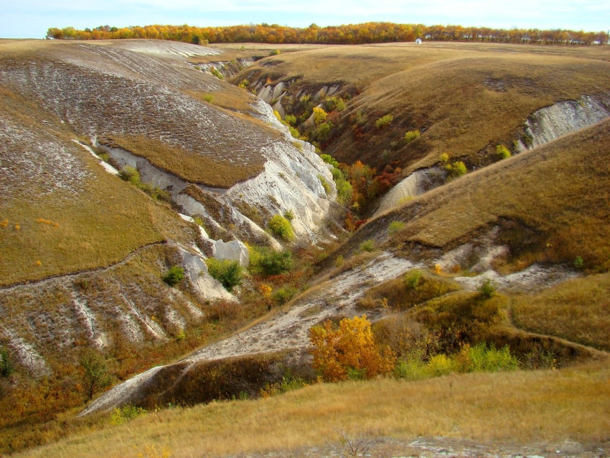 Дивногорье меловые горы
