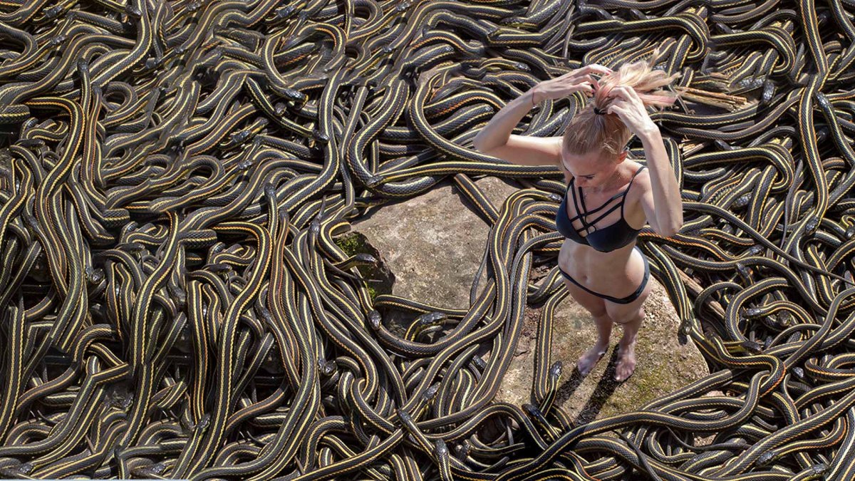 Snake Island