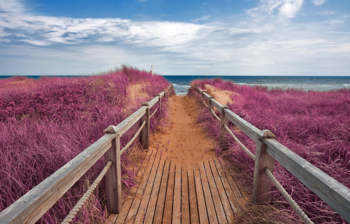 Prince Edward Island мост
