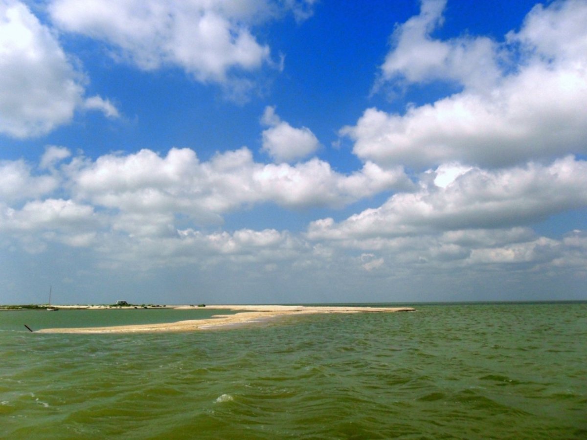 Кубань Азовское море